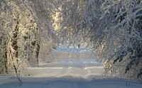 hiver